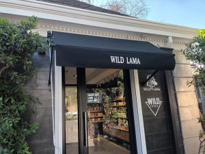 WhatsApp Image 2024-01-15 at 10.31.37