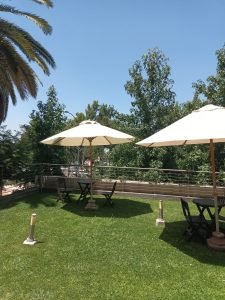 WhatsApp Image 2024-01-15 at 11.59.29